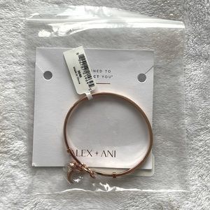 Rose Gold Alex and Ani Bangle